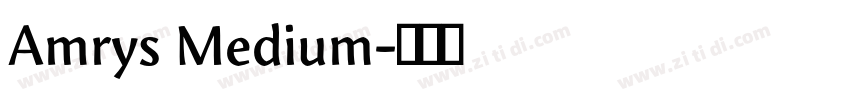 Amrys Medium字体转换